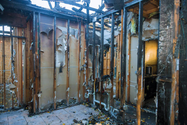 Professional Smoke Damage Removal technician working in Hickman, NE